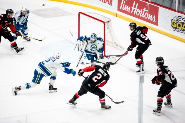 Prince George Cougars on offence vs. the Swift Current Broncos