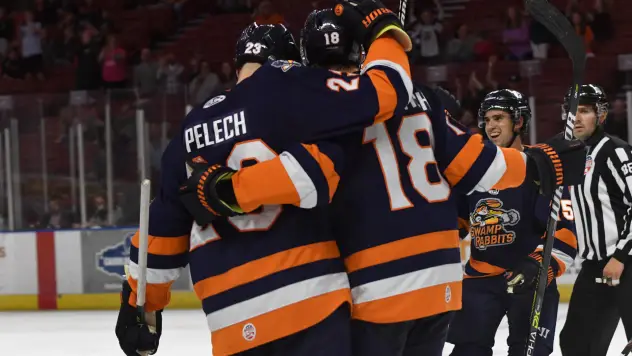 Michael Pelech and Nathan Perkovich of the Greenville Swamp Rabbits