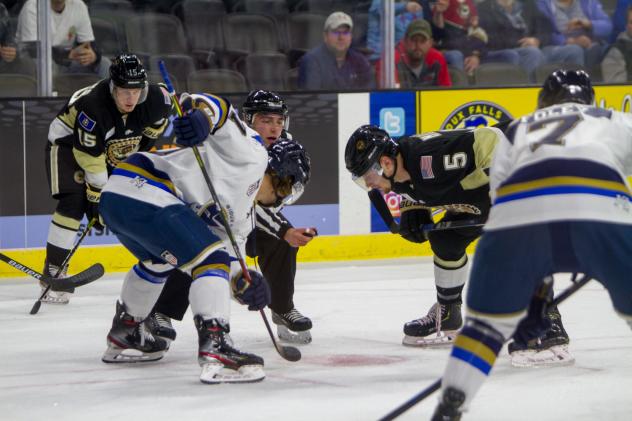 Sioux Falls Stampede Face off with the Muskegon Lumberjacks