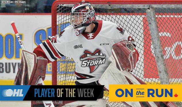 Guelph Storm goaltender Nico Daws