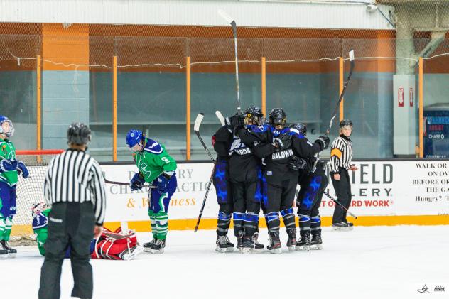 Minnesota Whitecaps celebrate a goal against the Connecticut Whale
