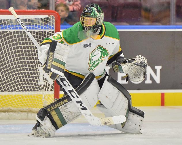 Goaltender Jordan Kooy with the London Knights