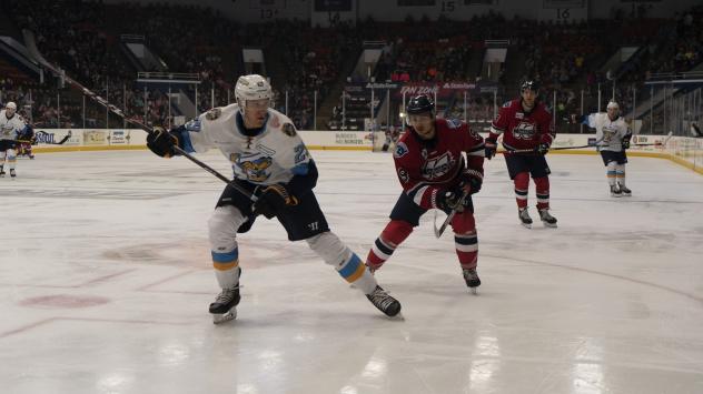 Kalamazoo Wings forward Zach Diamantoni (right) vs. the Toledo Walleye