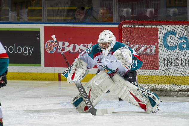 Kelowna Rockets goaltender James Porter