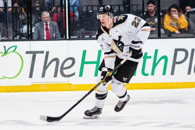 Wheeling Nailers forward Jan Drozg