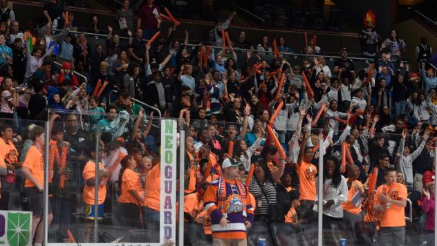 Orlando Solar Bears fans cheer on their team