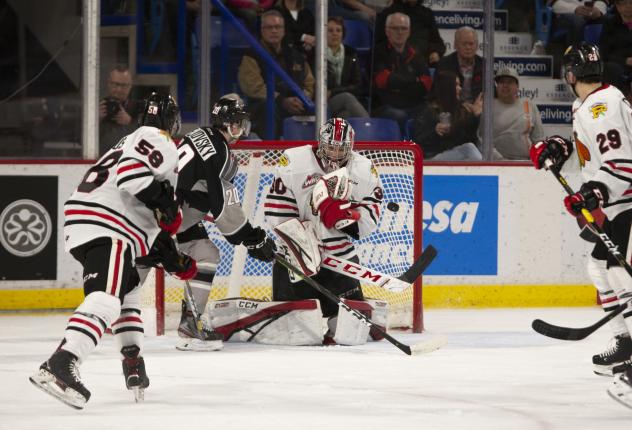 Lukas Svejkovsky of the Vancouver Giants (black) scores against the Portland Winterhawks