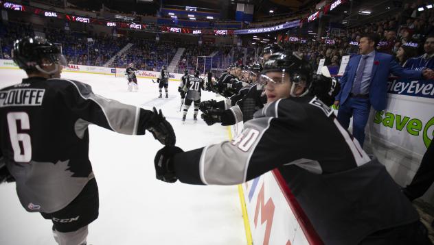 Vancouver Giants defenceman Dylan Plouffe and the Giants bench