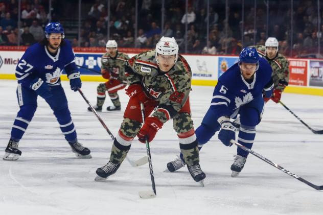 Grand Rpaids Griffins center Wade Megan vs. the Toronto Marlies