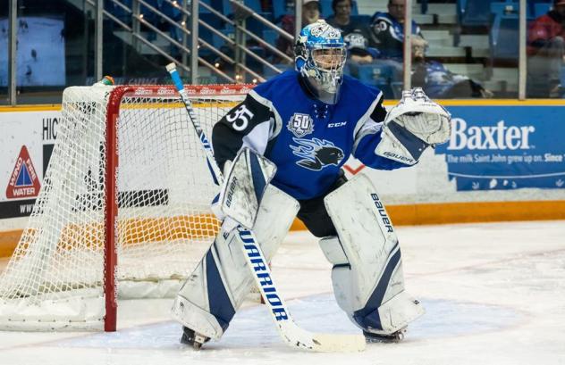 Saint John Sea Dogs goaltender Tommy DaSilva