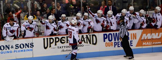 Andrew Cherniwchan along the South Carolina Stingrays bench