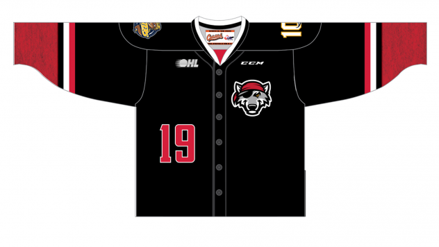 Erie Otters' Erie SeaWolves jersey