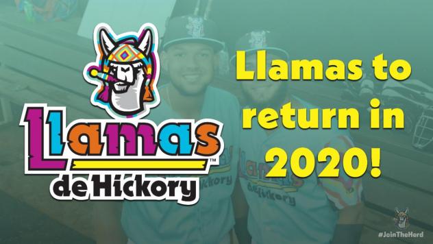Llamas de Hickory logo