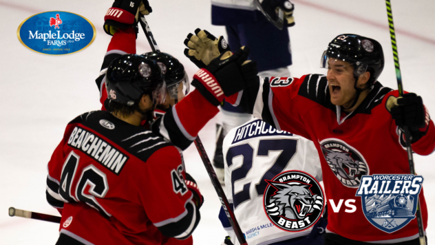 Brampton Beast celebrate a goal
