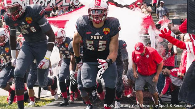 DL Skye King with York University