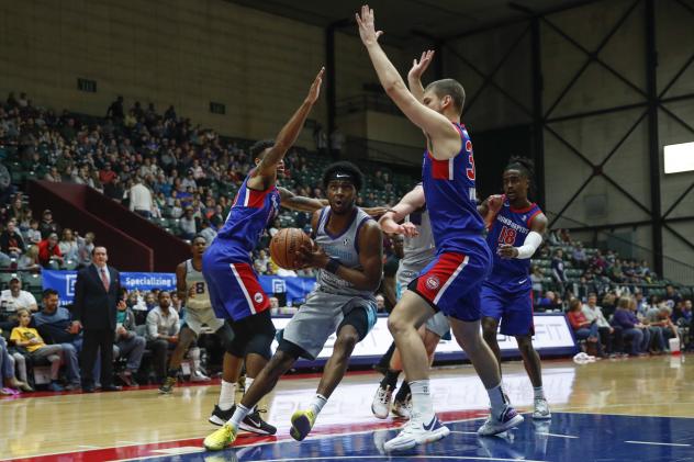 Grand Rapids Drive defend against the Greensboro Swarm