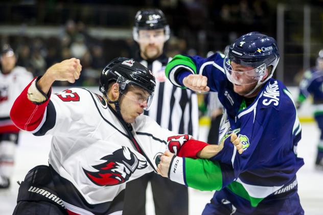 Maine Mariners fight the Adirondack Thunder