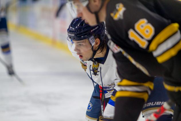 Sioux Falls Stampede take on the Green Bay Gamblers