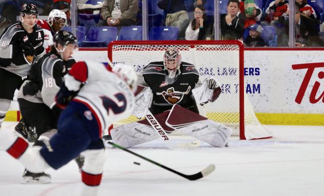 Vancouver Giants goaltender Trent Miner against the Lethbridge Hurricanes