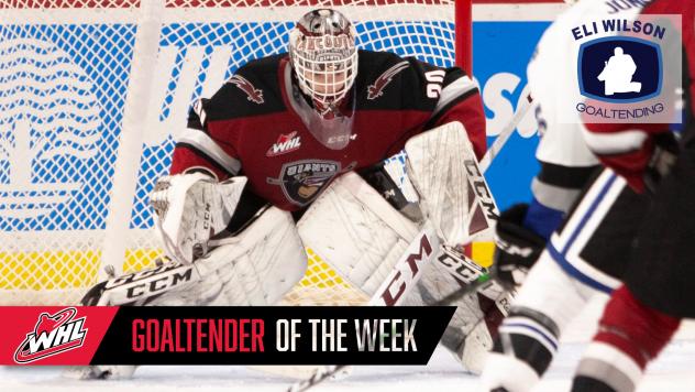 Vancouver Giants goaltender David Tendeck