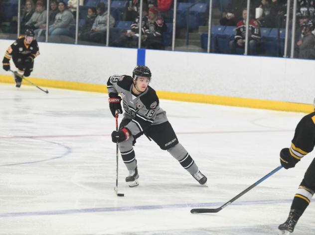 Chicago Steel forward Brendan Brisson