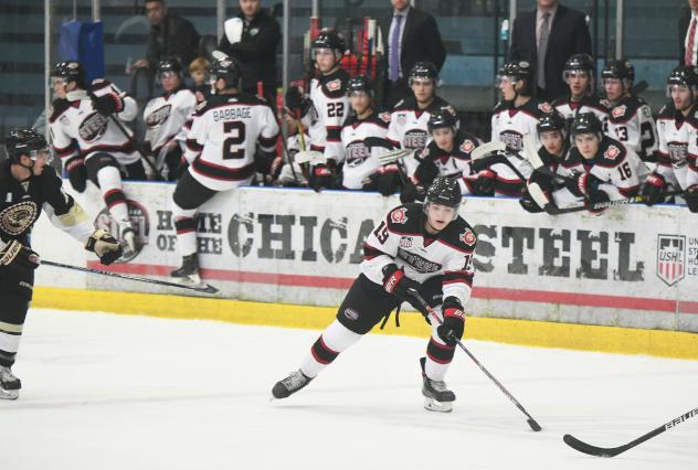 Chicago Steel forward Brendan Brisson