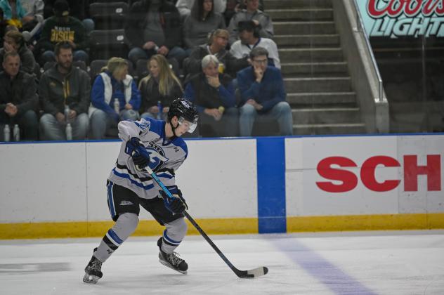 Fargo Force defenseman Noah Beck