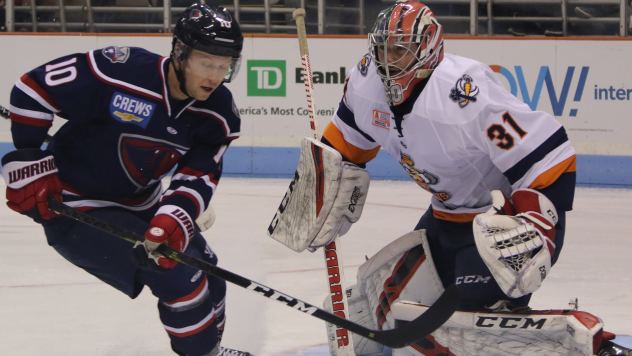 Greenville Swamp Rabbits goaltender Jeremy Helvig vs. the South Carolina Stingrays