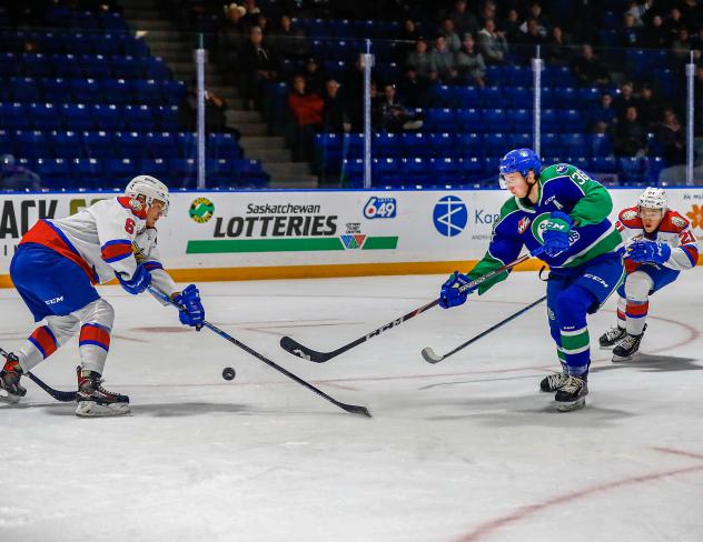 Defenceman Connor Horning with the Swift Current Broncos