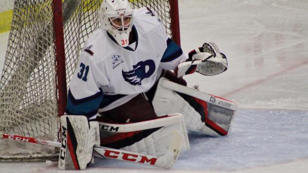 Danville Dashers goaltender Jesse Gordichuk