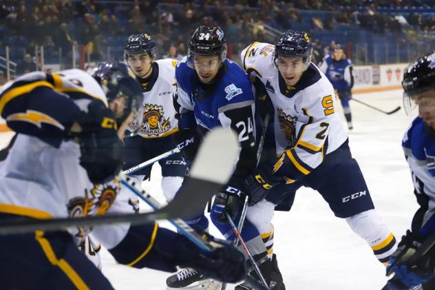 Saint John Sea Dogs left wing James White (center) vs. the Shawinigan Cataractes