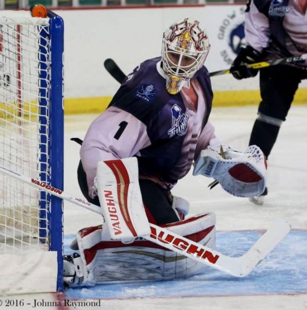 Former Wichita Thunder goaltender Chris Driedger