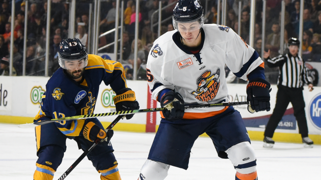 Greenville Swamp Rabbits vs. the Norfolk Admirals