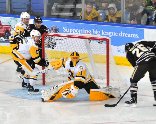 Wilkes-Barre/Scranton Penguins goaltender Casey DeSmith