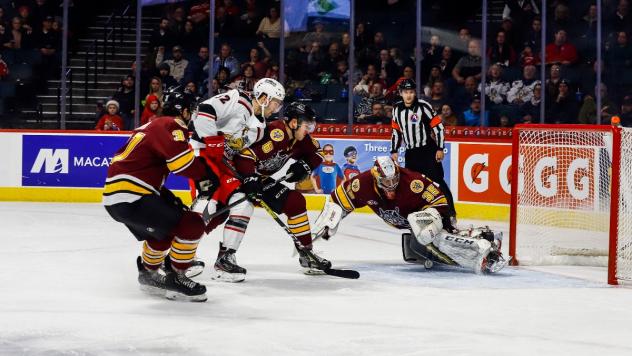Grand Rapids Griffins vs. the Chicago Wolves