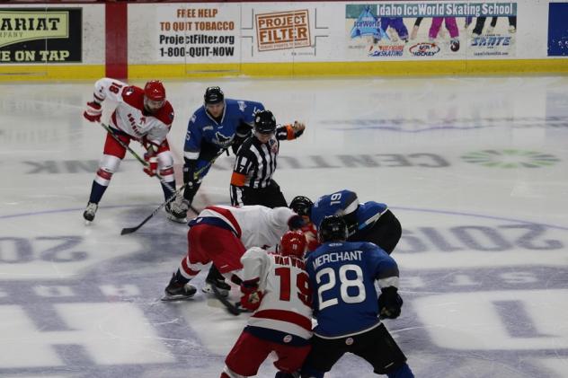 Allen Americans face off with the Idaho Steelheads