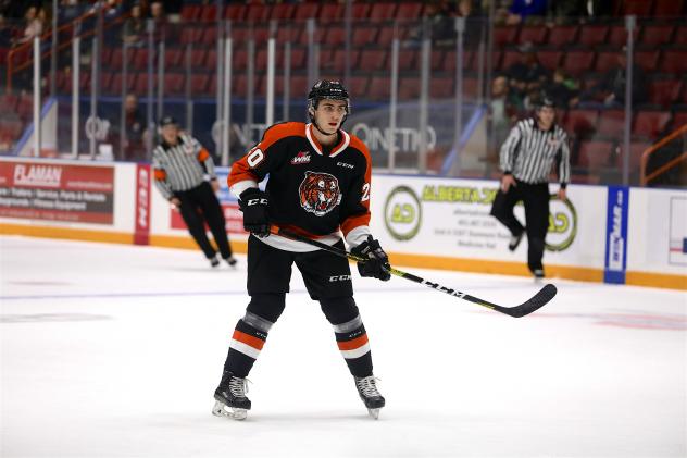 Defenceman Trevor Longo with the Medicine Hat Tigers