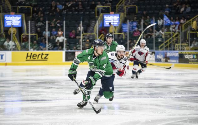 Florida Everblades defenseman Greg Campbell