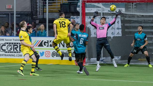 St. Louis Ambush goalkeeper Paulo eyes a shot from the Milwaukee Wave