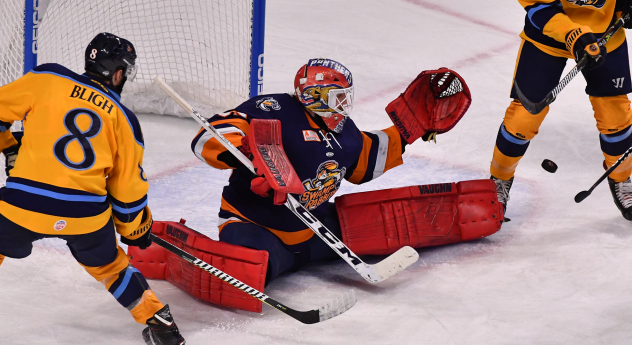 Greenville Swamp Rabbits goaltender Ryan Bednard stops the Atlanta Gladiators