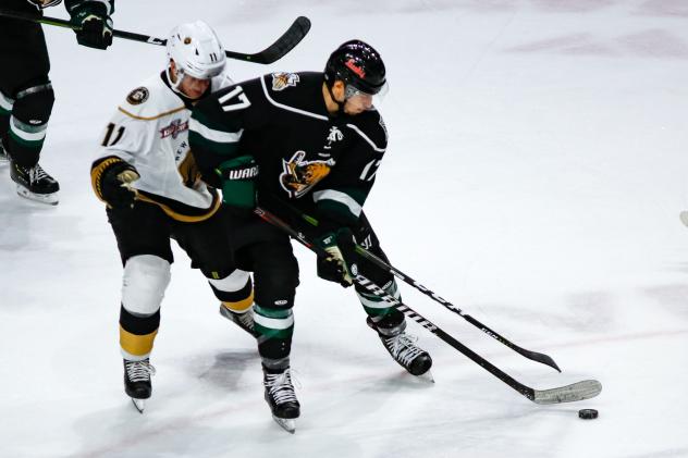 Utah Grizzlies forward Griffen Molino vs. the Newfoundland Growlers