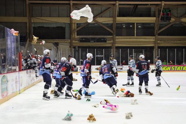 Macon Mayhem Teddy Bear Toss Night