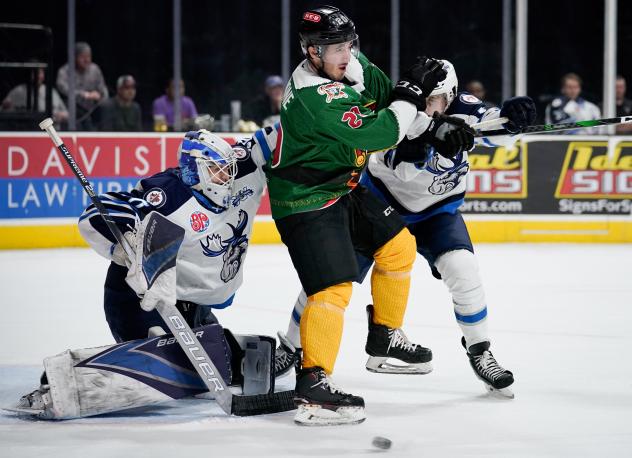Mike Vecchione of the San Antonio Rampage battles in front of Manitoba goaltender Mikhail Berdin