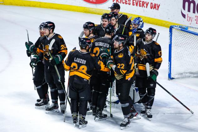Utah Grizzlies huddle