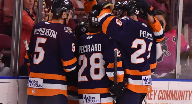 Greenville Swamp Rabbits celebrate a goal