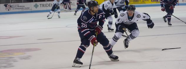 South Carolina Stingrays forward Andrew Cherniwchan vs. the Jacksonville IceMen