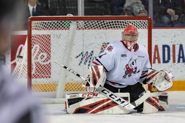 Niagara IceDogs goaltender Tucker Tynan