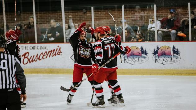 Port Huron Prowlers celebrate a goal