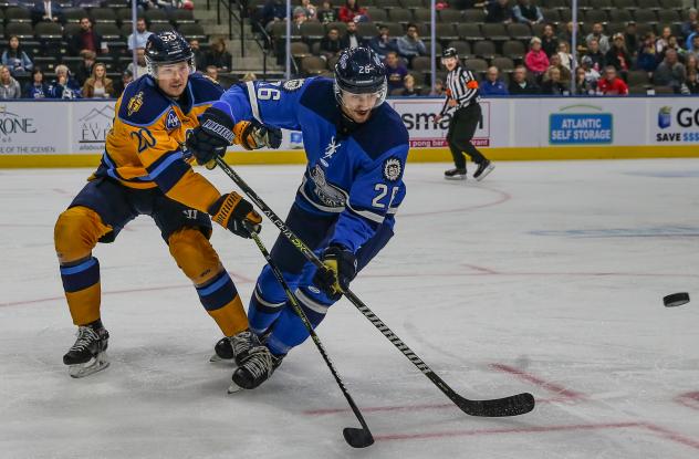 Forward Garret Ross with the Jacksonville Icemen