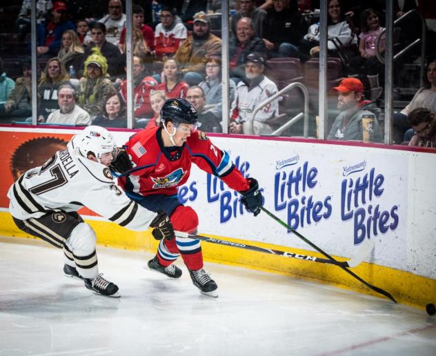 Springfield Thunderbirds skate against the Hershey Bears